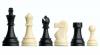 Obrázok 2 Elektronické šachy Smart Board II. gen s plastovými figúrami + Taška